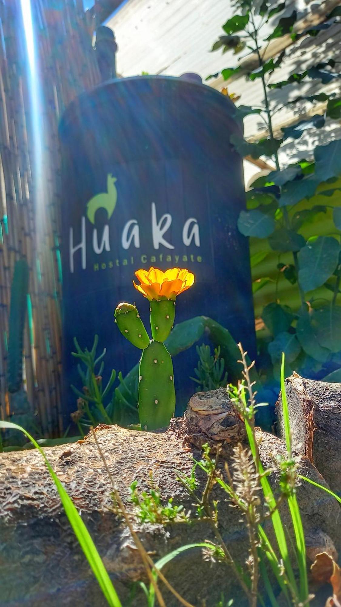 Huaka And * Cafayate